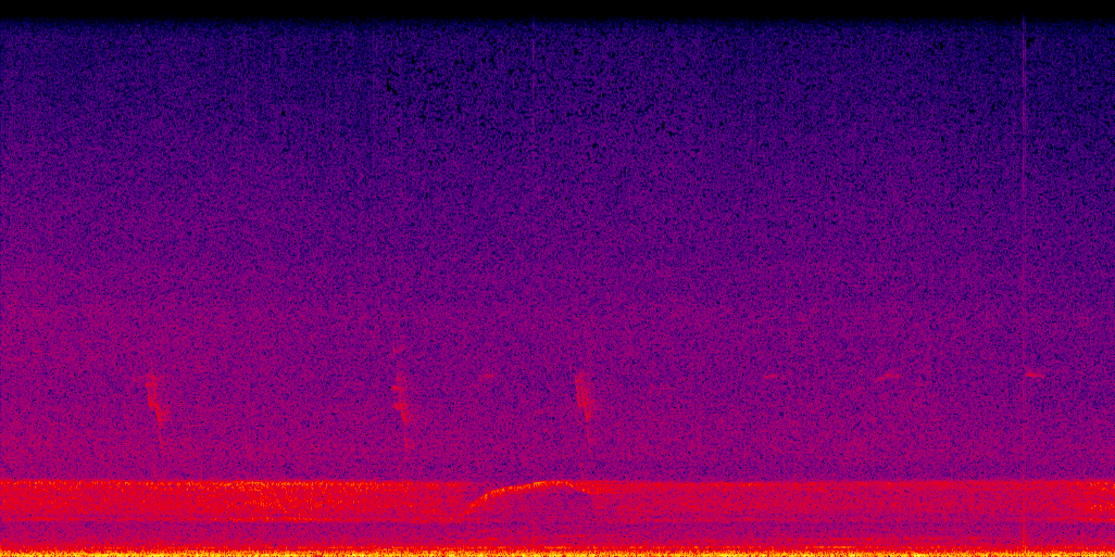 spectrogram