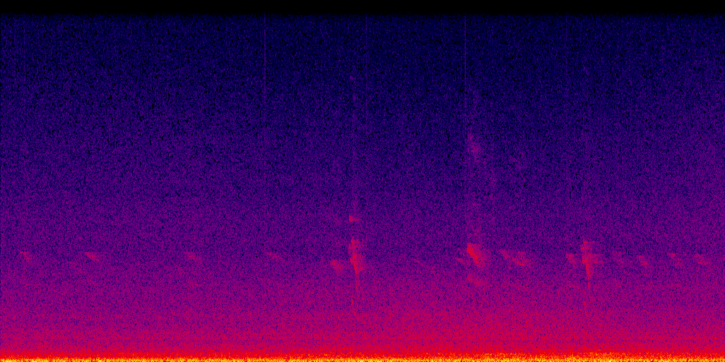 spectrogram