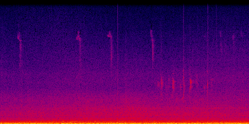 spectrogram