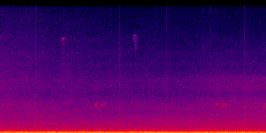 spectrogram