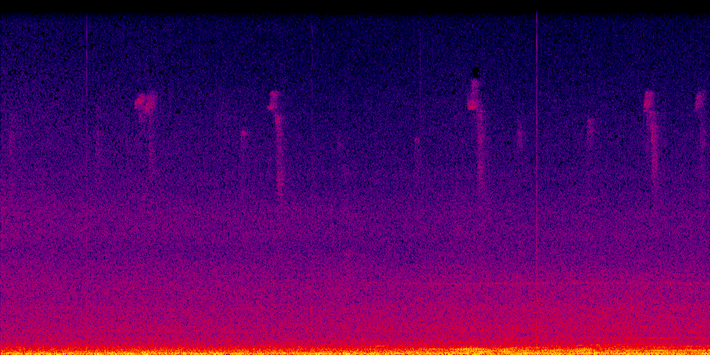 spectrogram