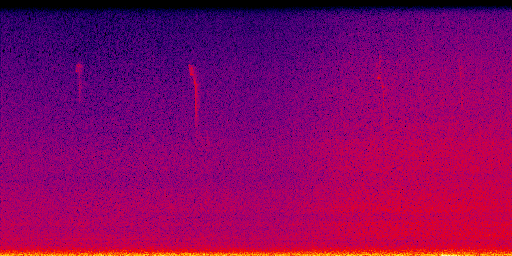 spectrogram