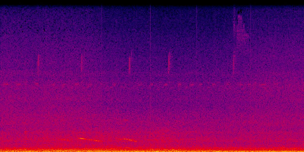 spectrogram