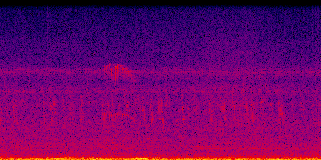 spectrogram