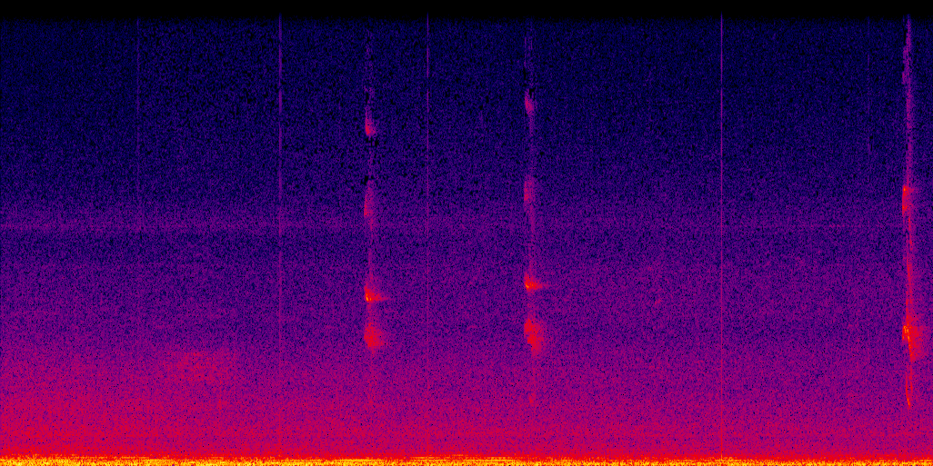 spectrogram