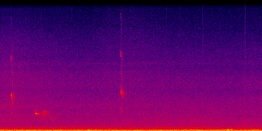 spectrogram