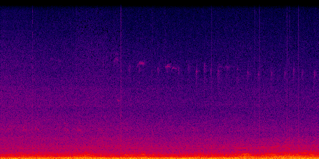 spectrogram