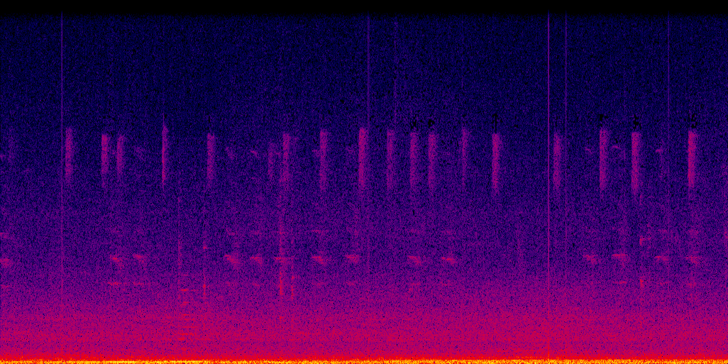 spectrogram