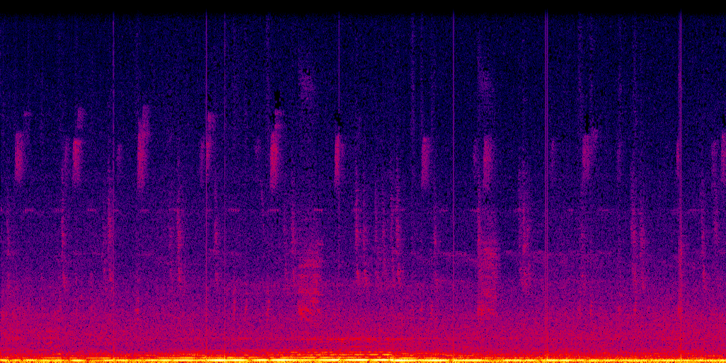 spectrogram