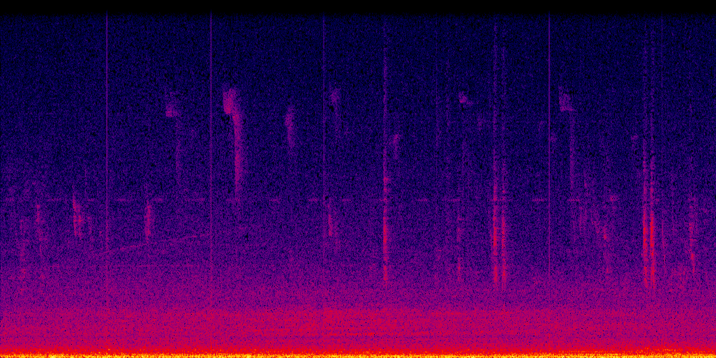 spectrogram