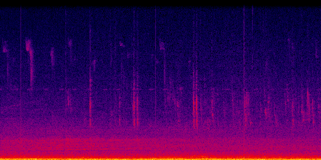 spectrogram