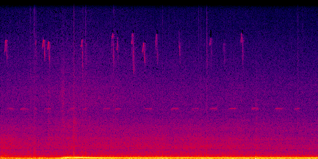 spectrogram