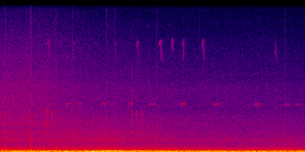 spectrogram