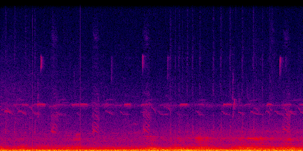 spectrogram