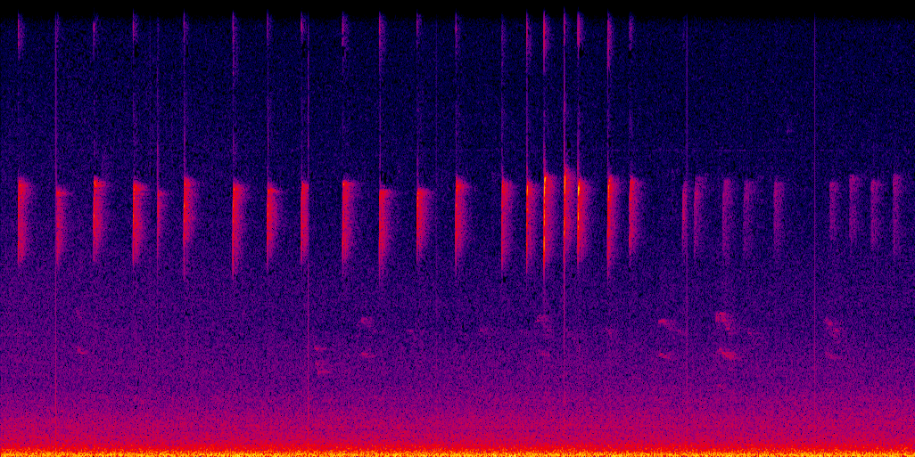 spectrogram