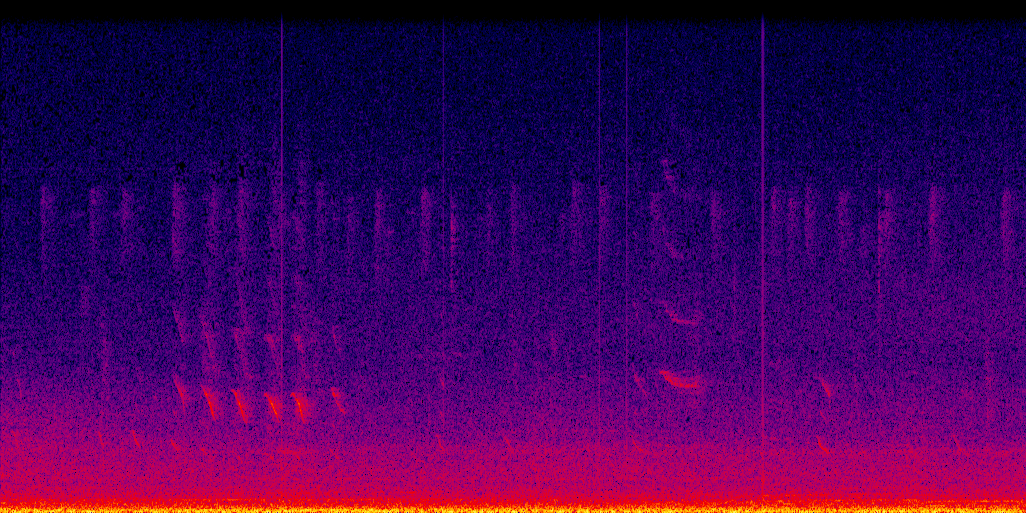 spectrogram