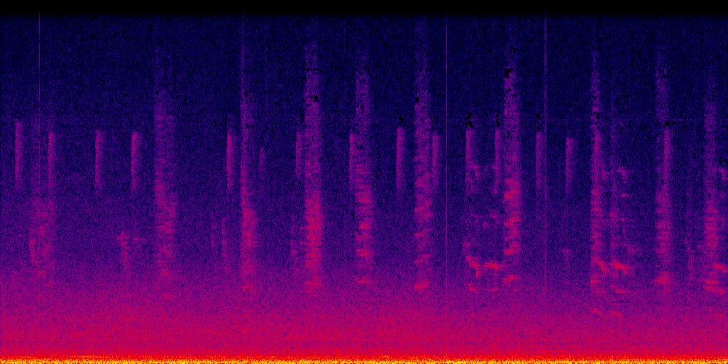 spectrogram