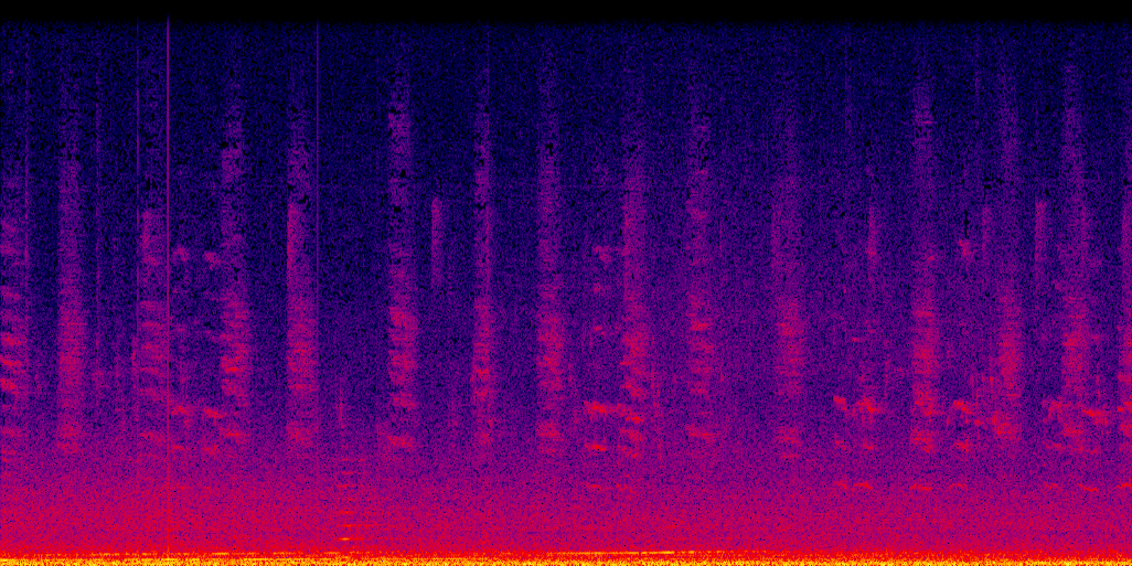 spectrogram