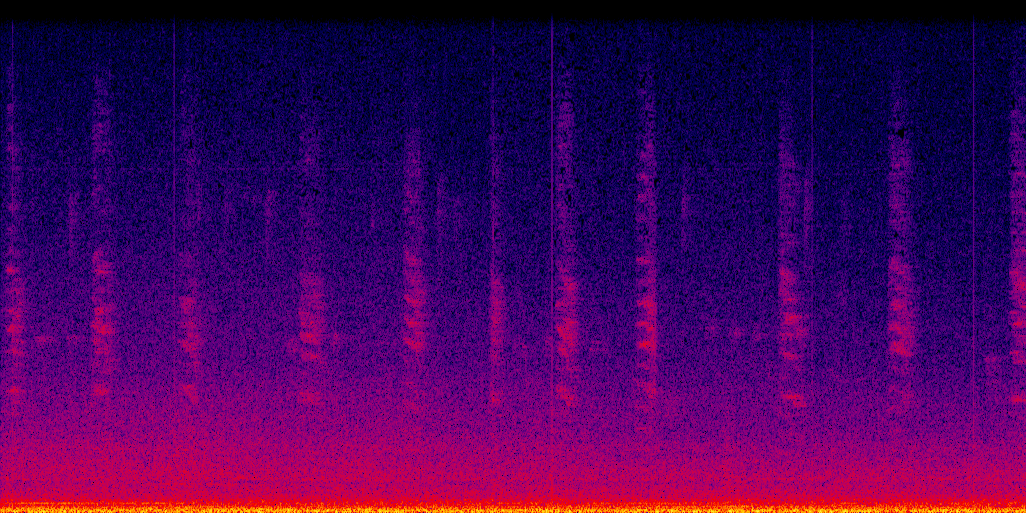 spectrogram