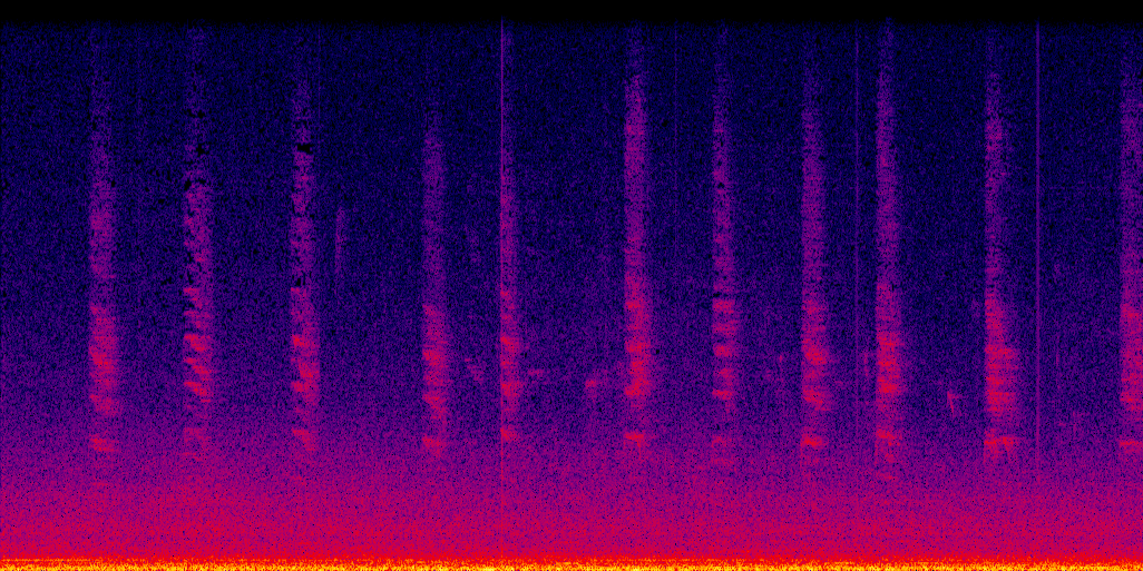 spectrogram