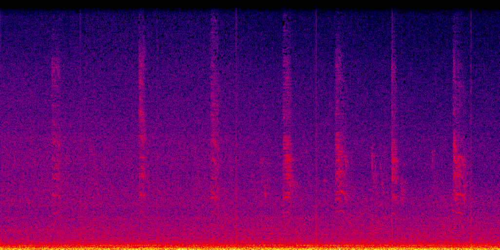 spectrogram