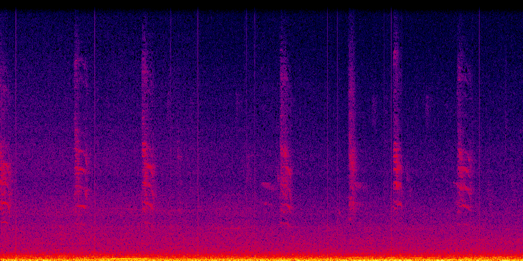 spectrogram
