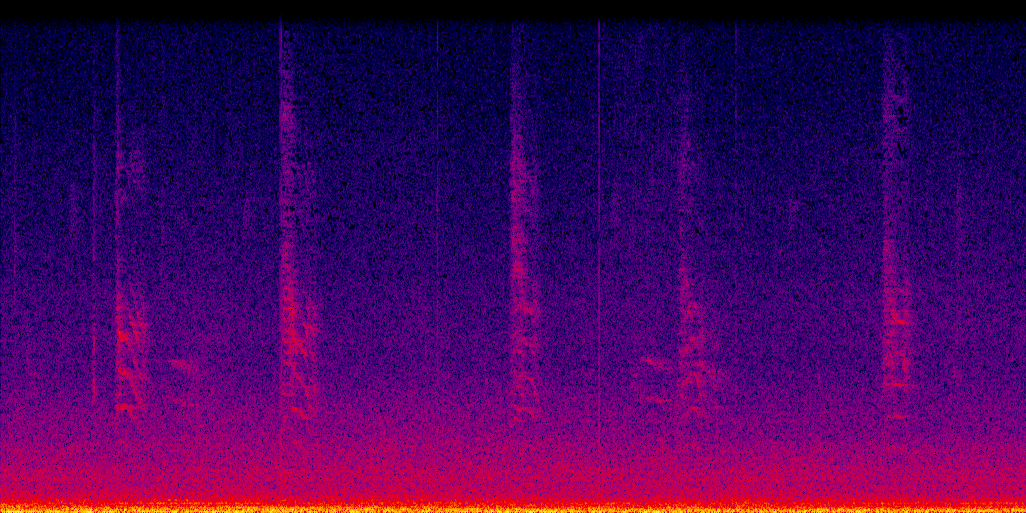 spectrogram