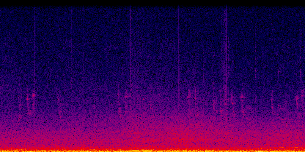 spectrogram
