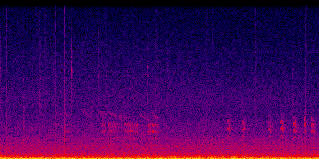 spectrogram