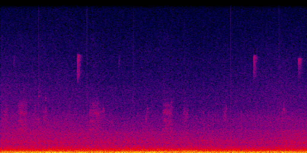 spectrogram