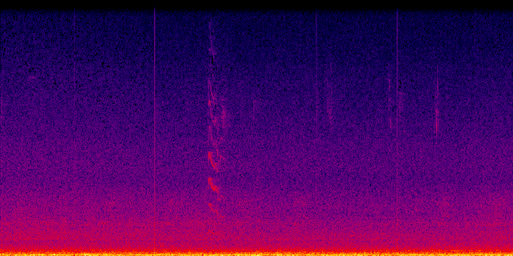 spectrogram