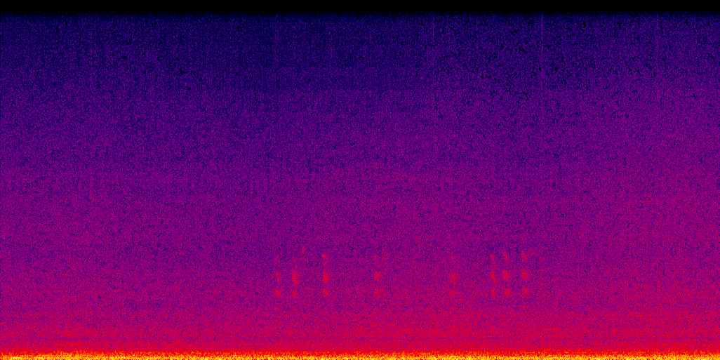 spectrogram