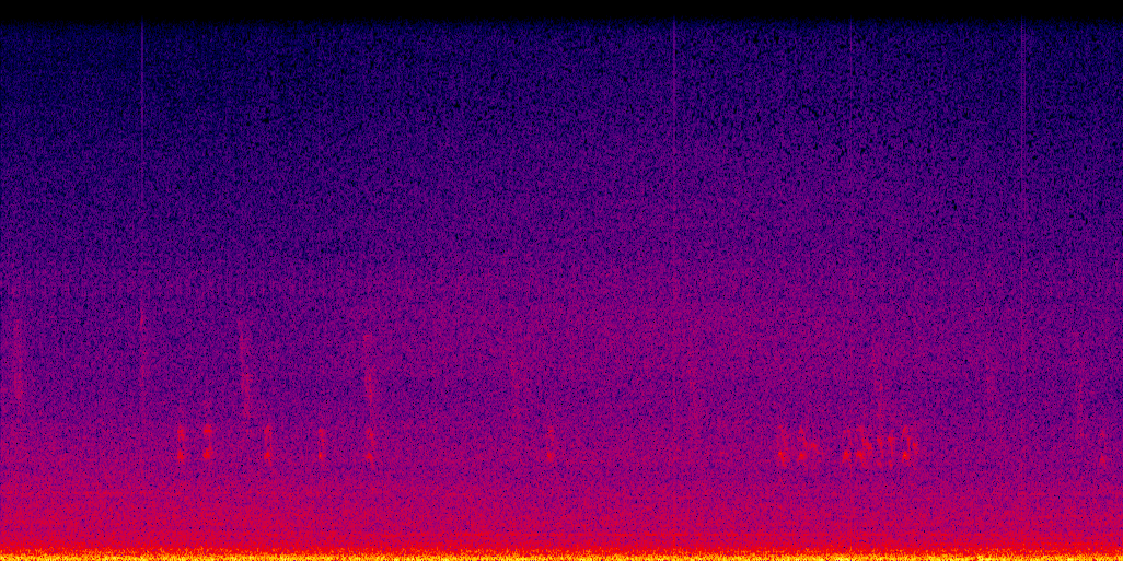 spectrogram