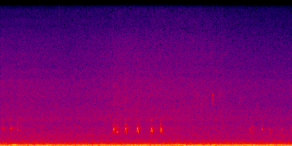 spectrogram