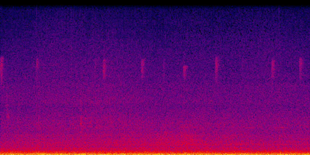 spectrogram