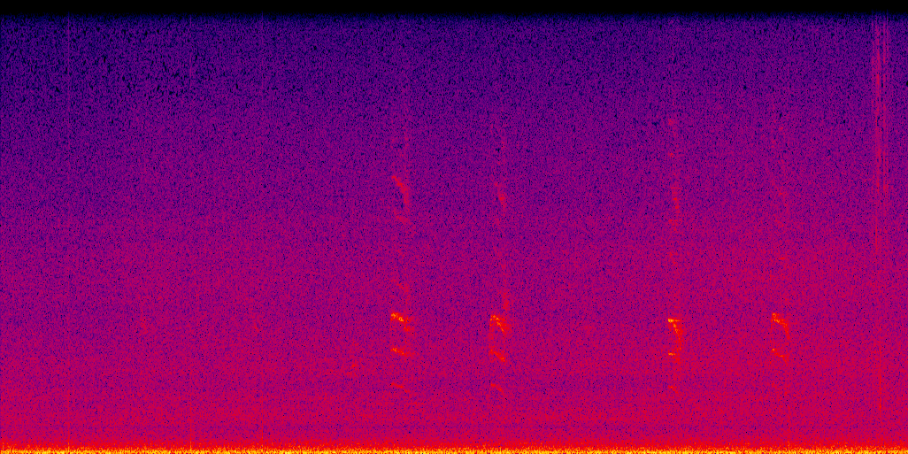 spectrogram