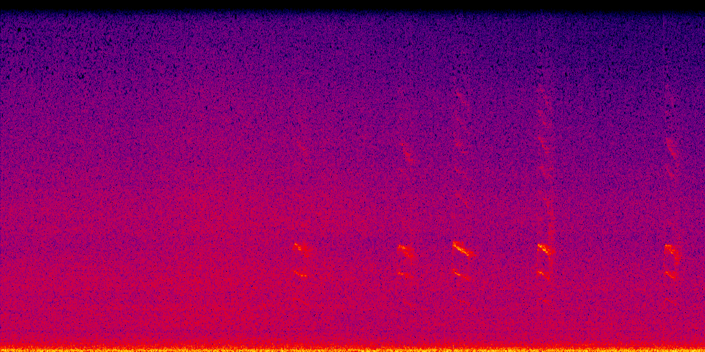 spectrogram