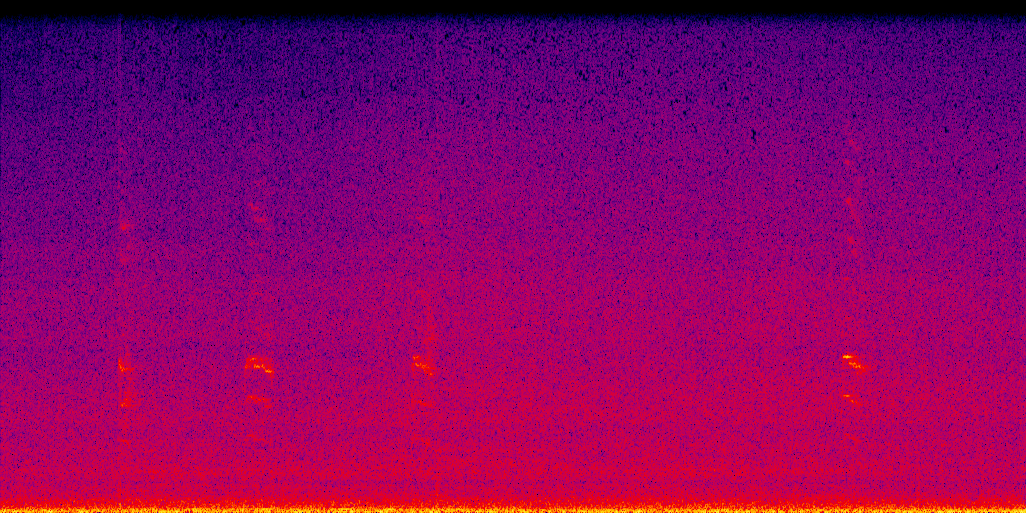 spectrogram