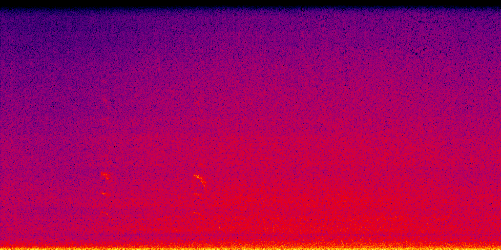 spectrogram