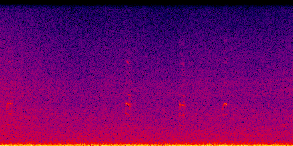 spectrogram