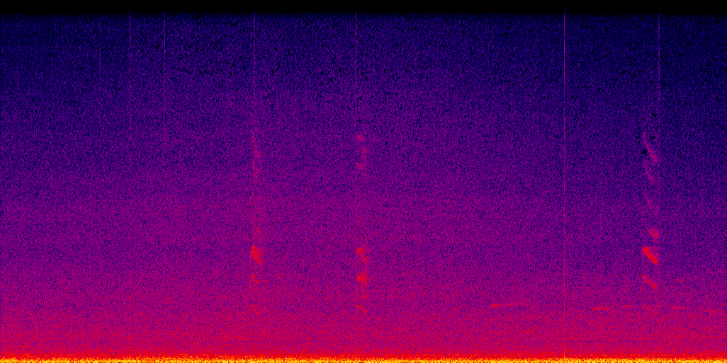 spectrogram