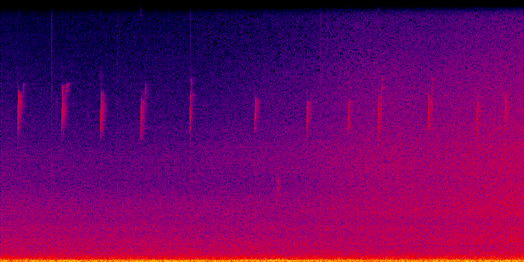spectrogram