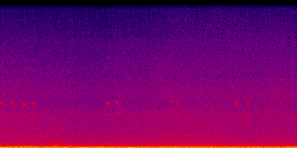 spectrogram