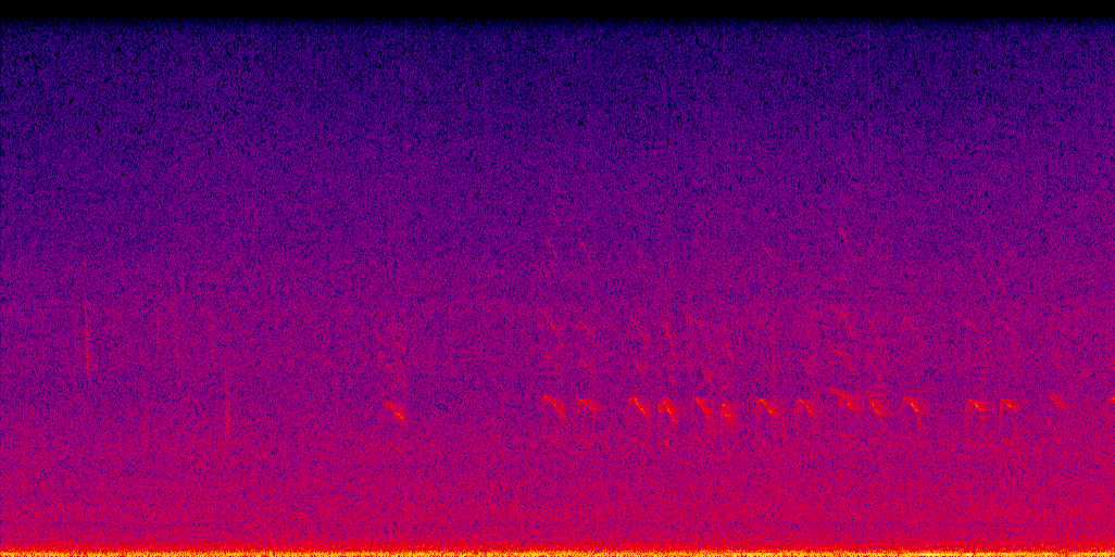 spectrogram