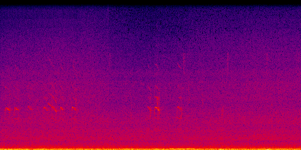 spectrogram