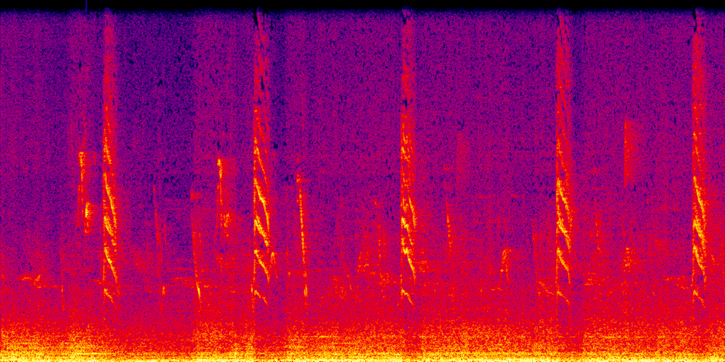 spectrogram