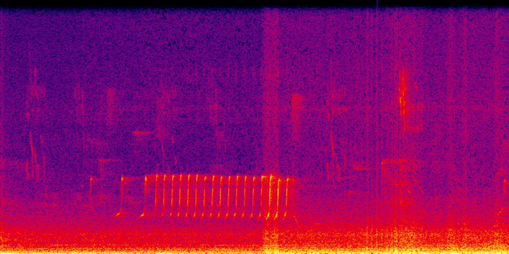 spectrogram